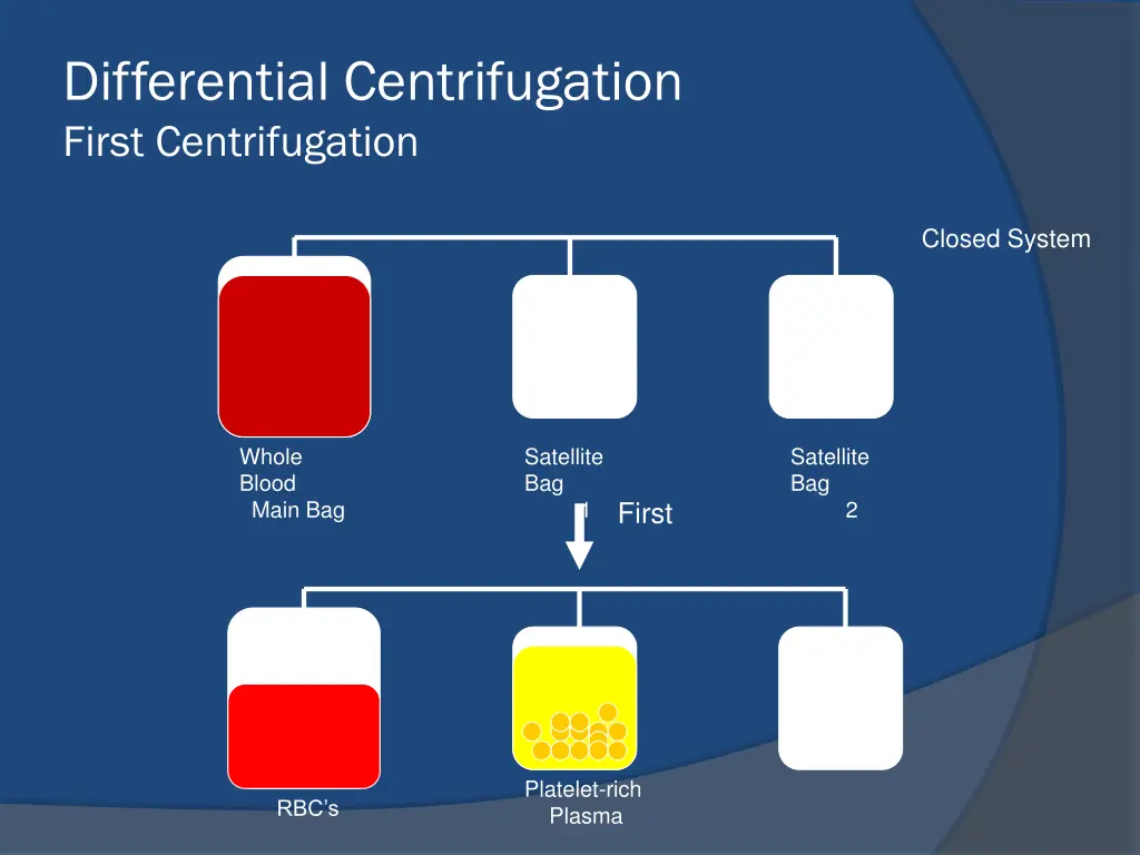 differential centrifugation first centrifugation