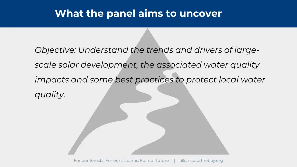 what the panel aims to uncover