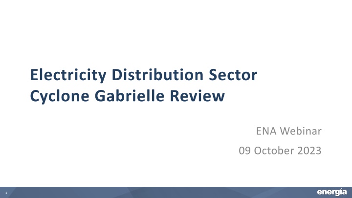 electricity distribution sector cyclone gabrielle