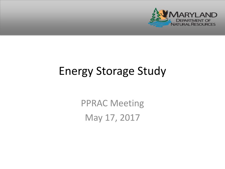 energy storage study