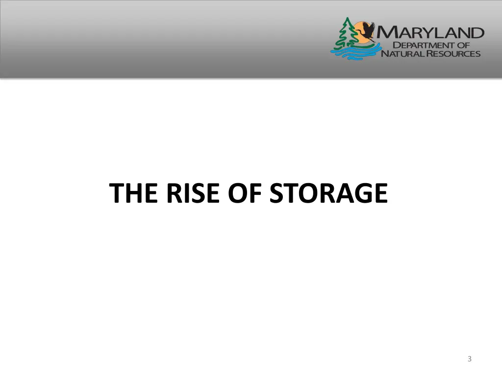 the rise of storage