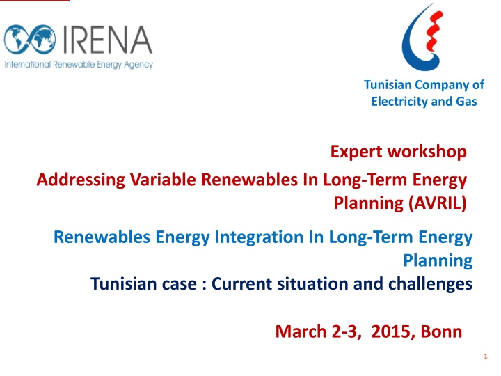 tunisian company of electricity and gas