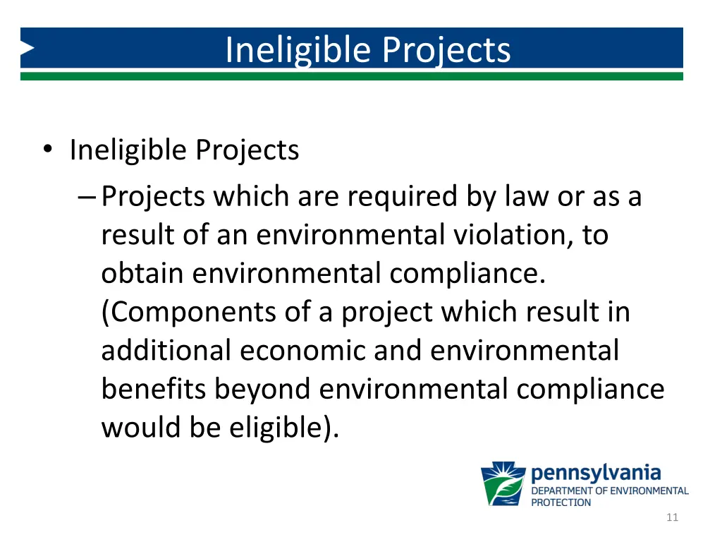 ineligible projects