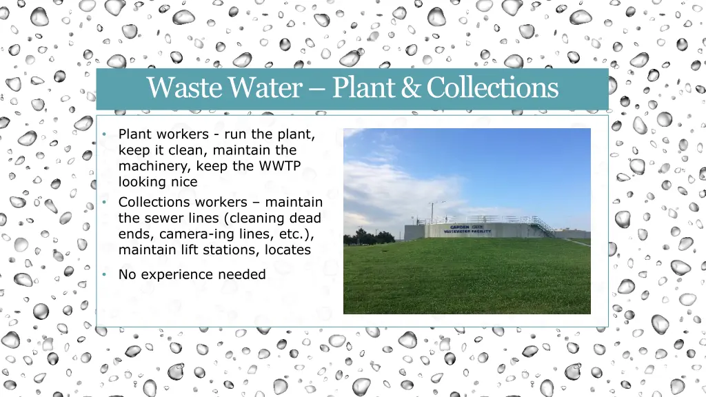 waste water plant collections