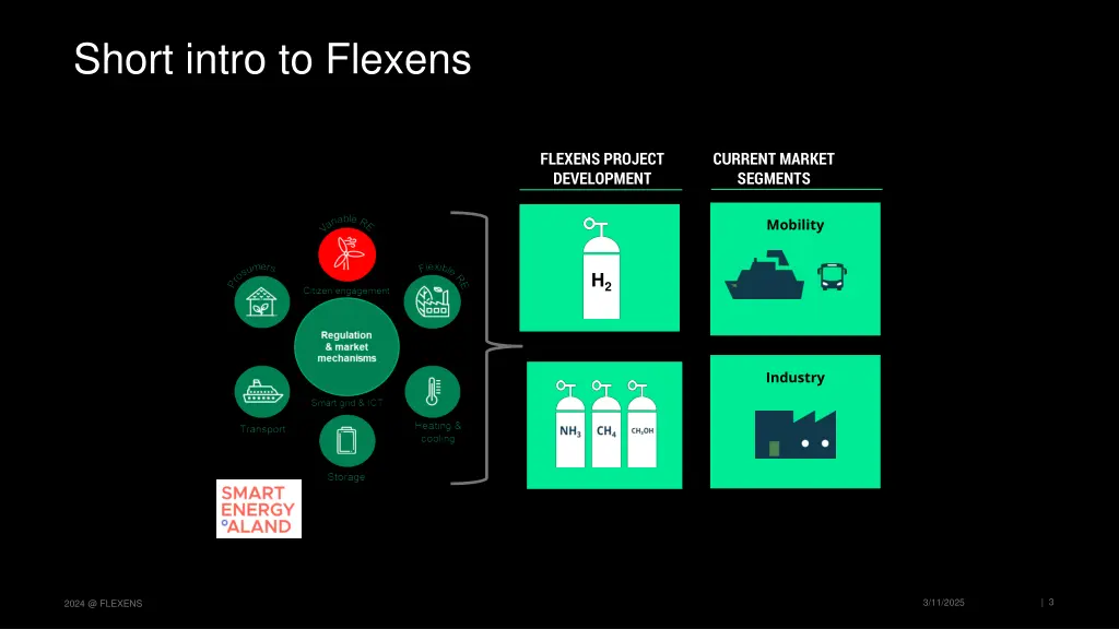 short intro to flexens