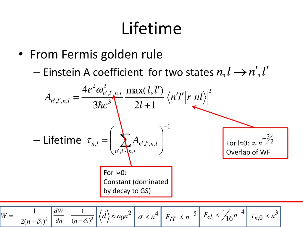 lifetime 1