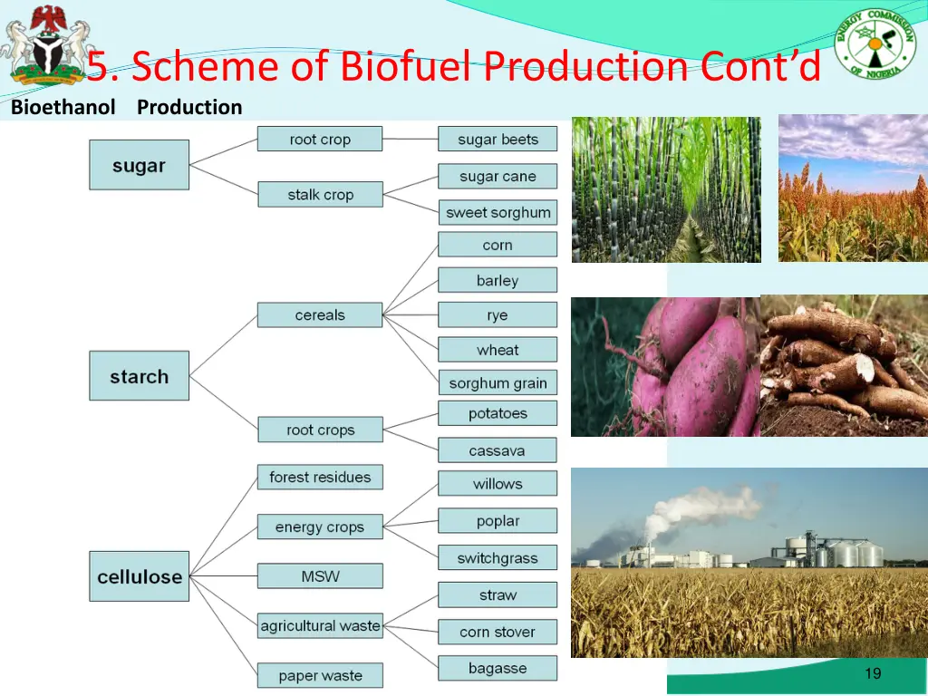 5 scheme of biofuel production cont d
