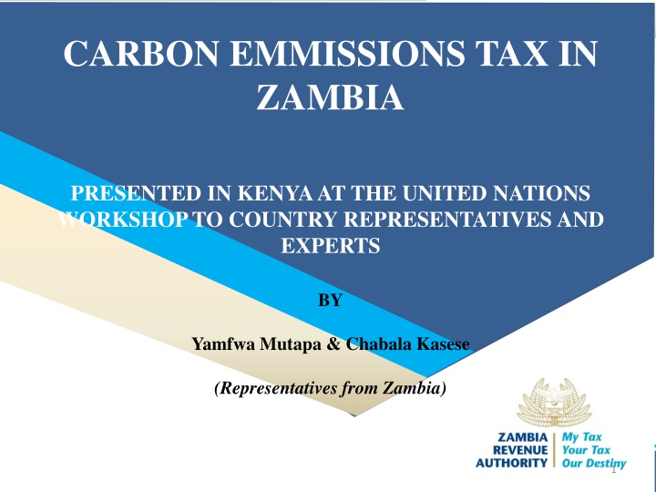 carbon emmissions tax in zambia