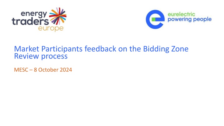 market participants feedback on the bidding zone
