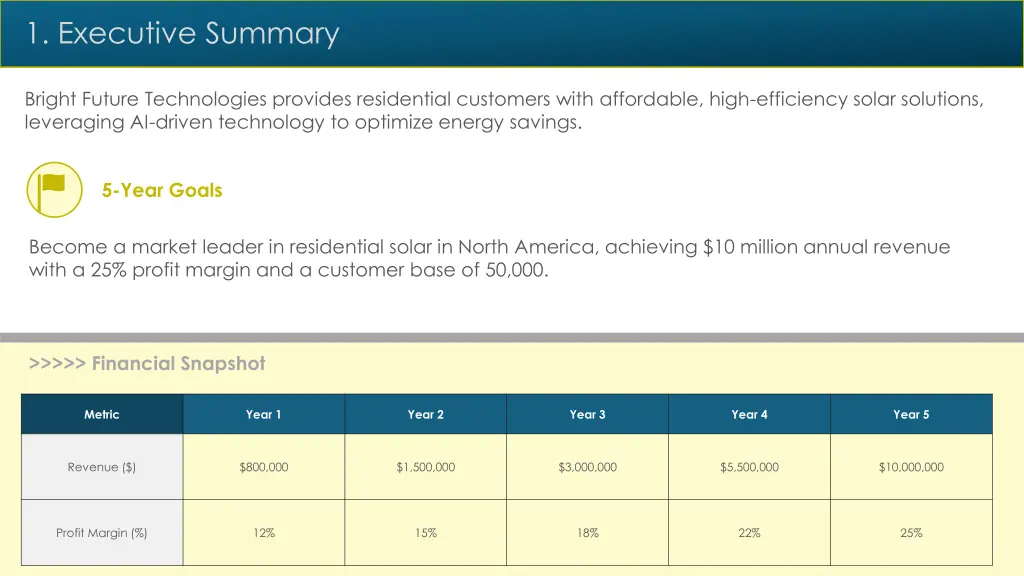 1 executive summary