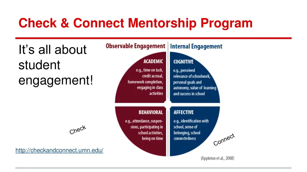 check connect mentorship program