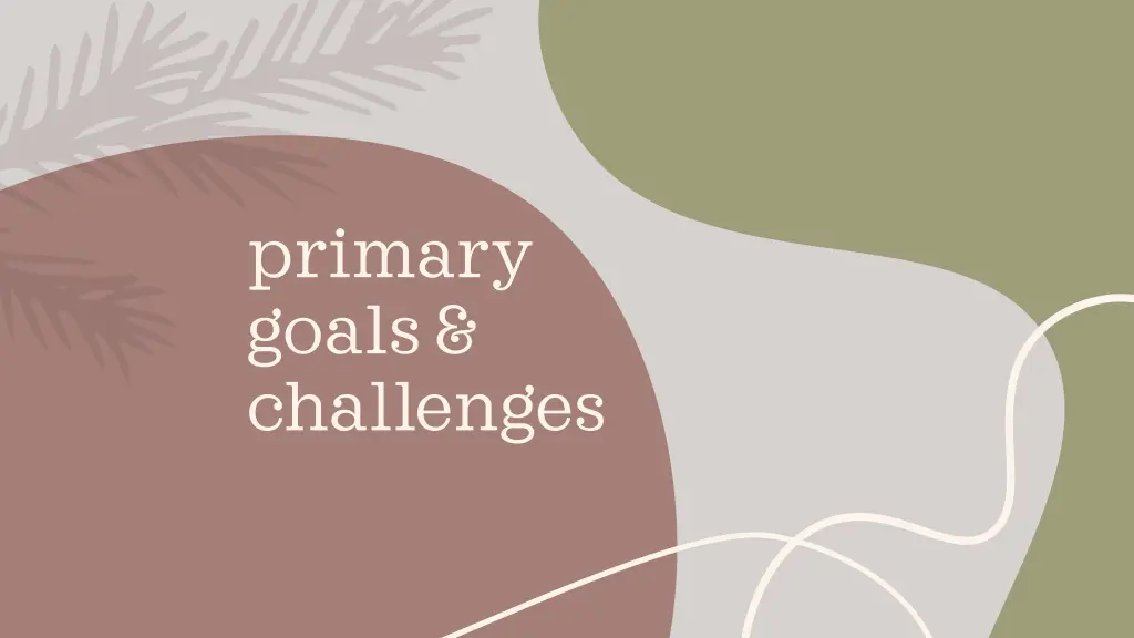 primary goals challenges