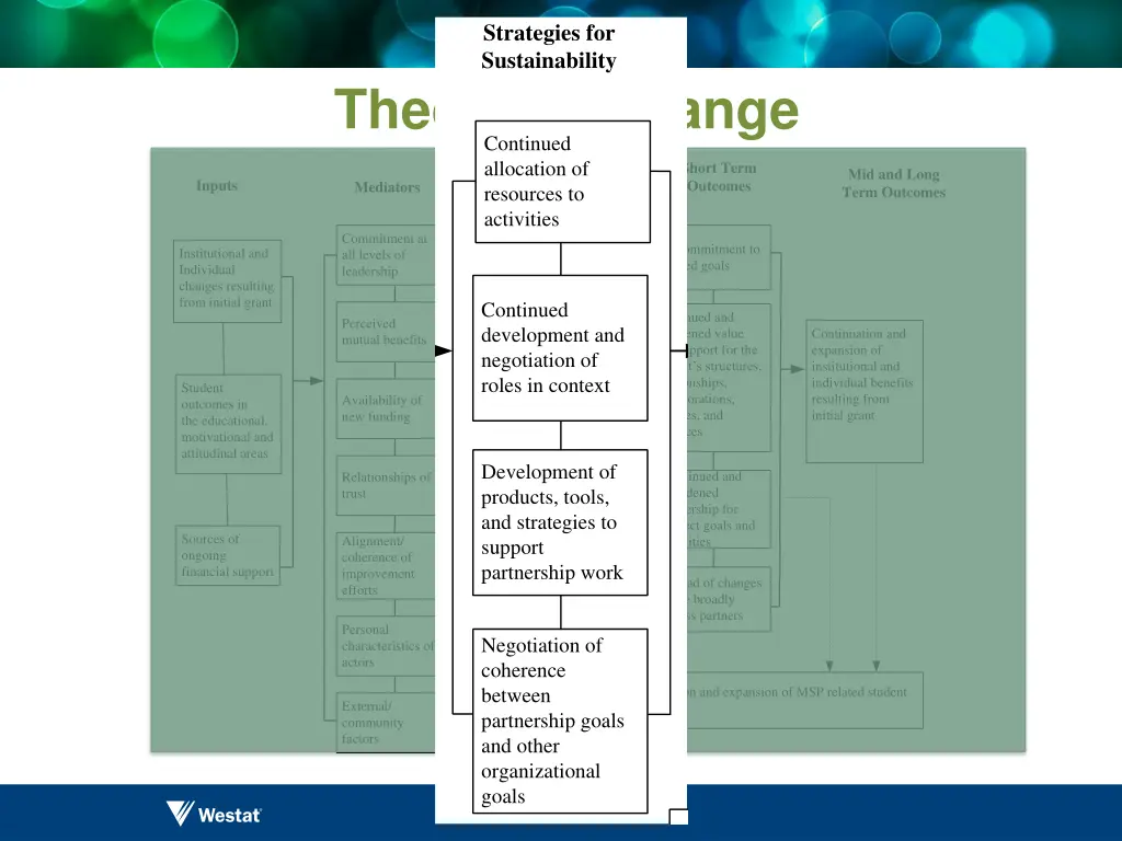 strategies for sustainability 1