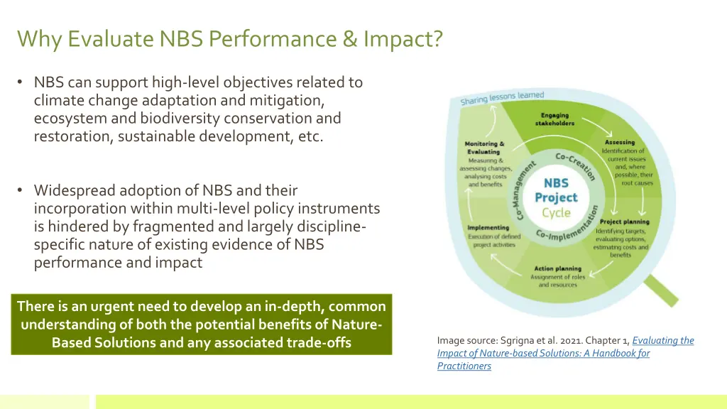 whyevaluatenbs performance impact