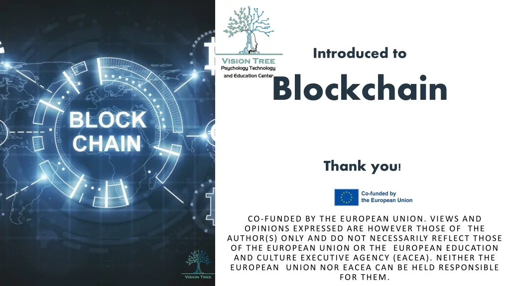 introduced to blockchain