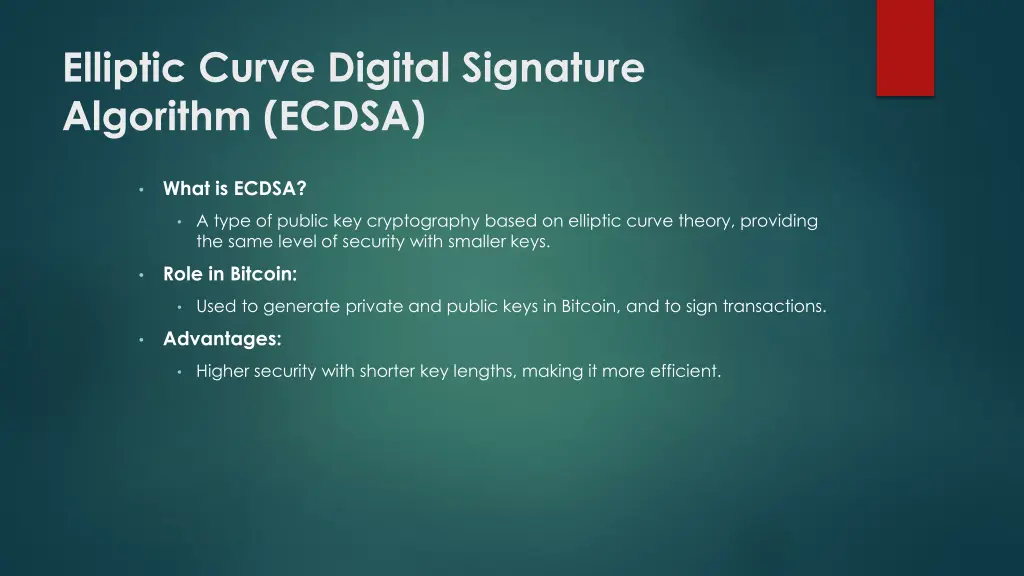 elliptic curve digital signature algorithm ecdsa