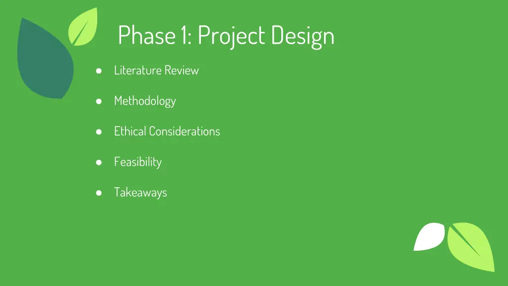 phase 1 project design