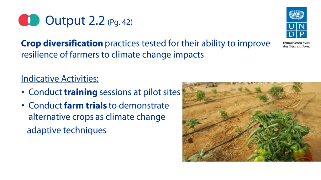 slide6