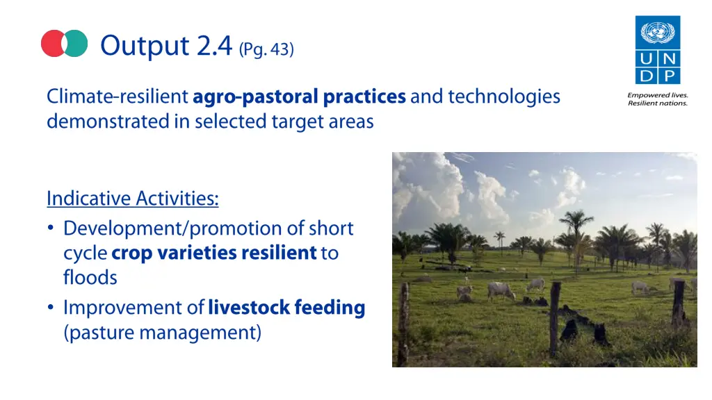 slide8