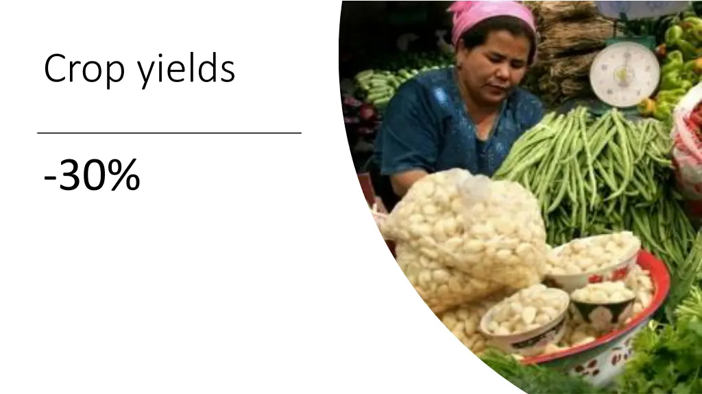 crop yields