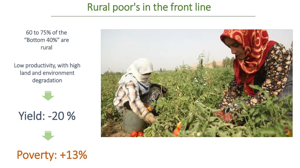 rural poor s in the front line rural poor