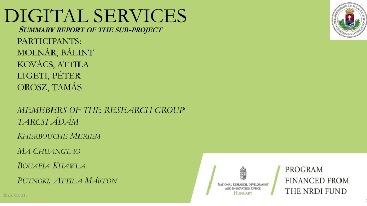 digital services s ummary report