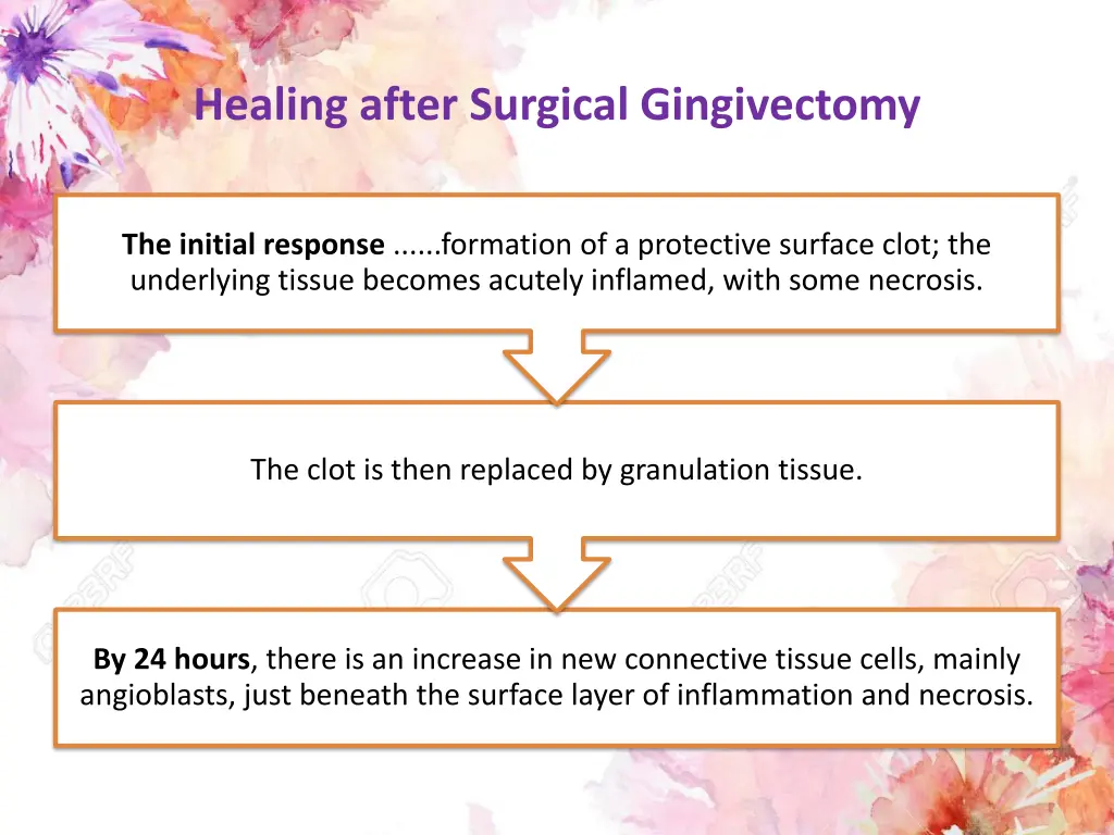 healing after surgical gingivectomy