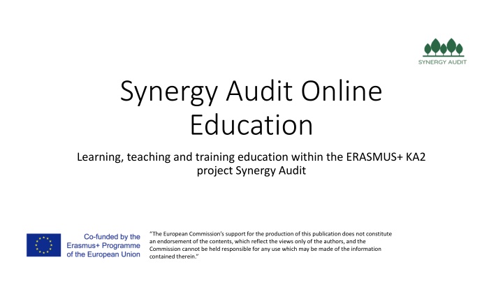 synergy audit online education