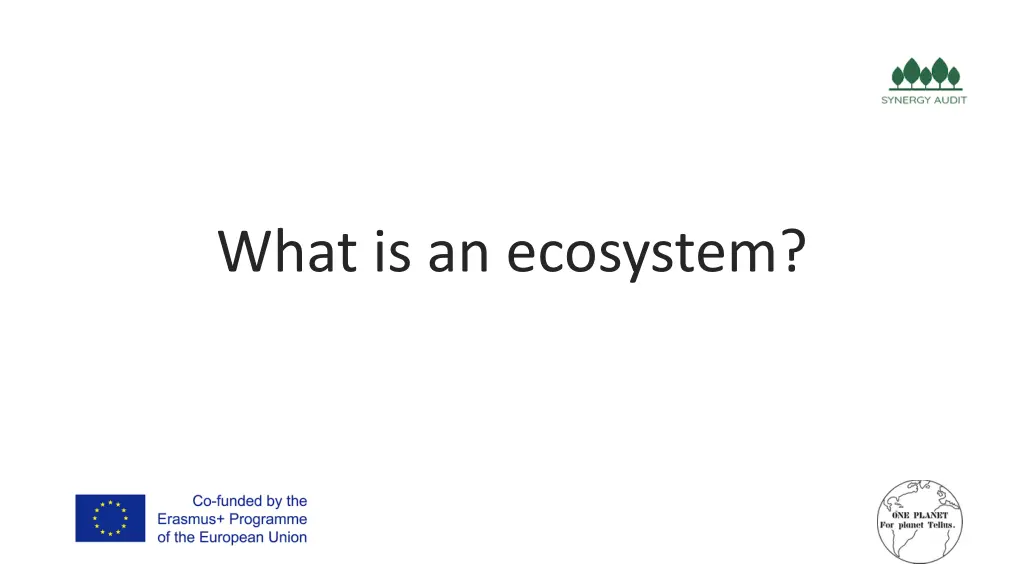 what is an ecosystem