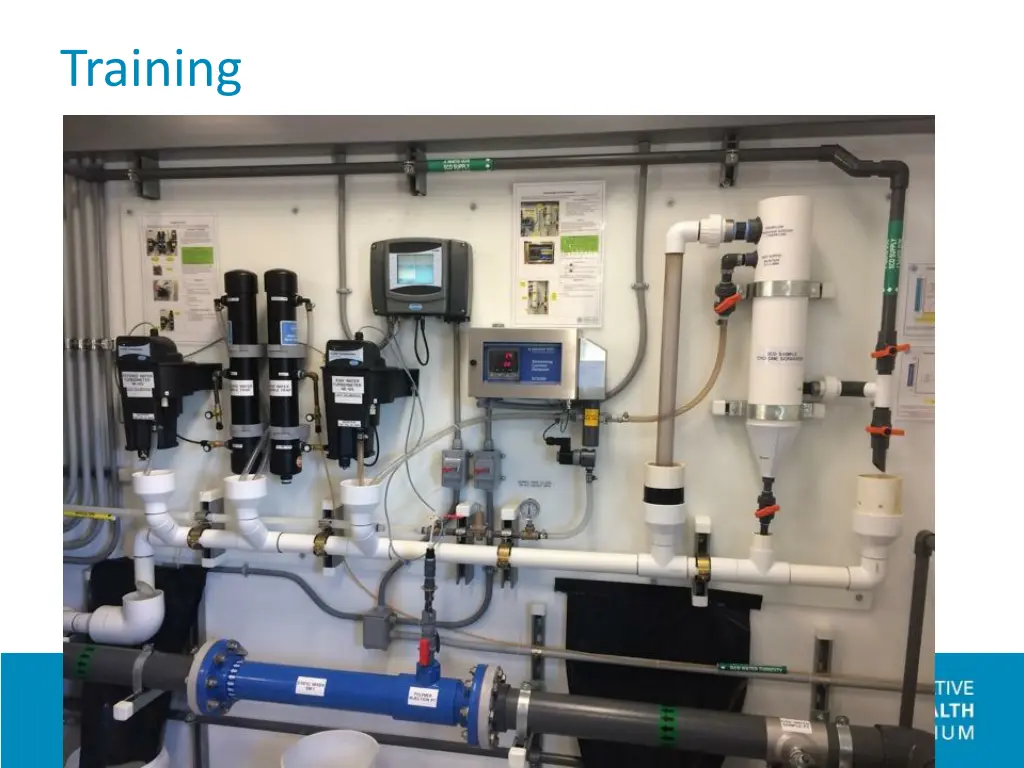training 1