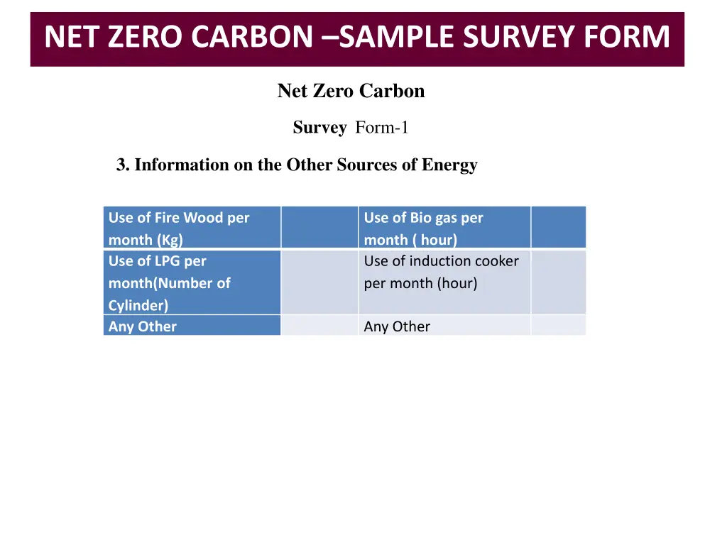 net zero carbon sample survey form 3