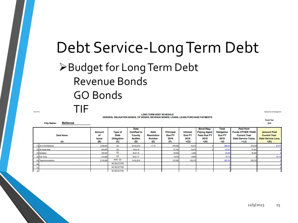 debt service long term debt budget for long term