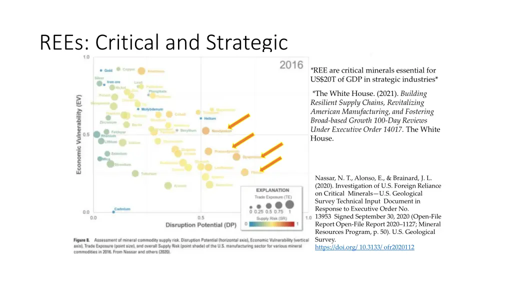rees critical and strategic