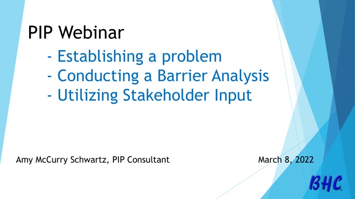 pip webinar