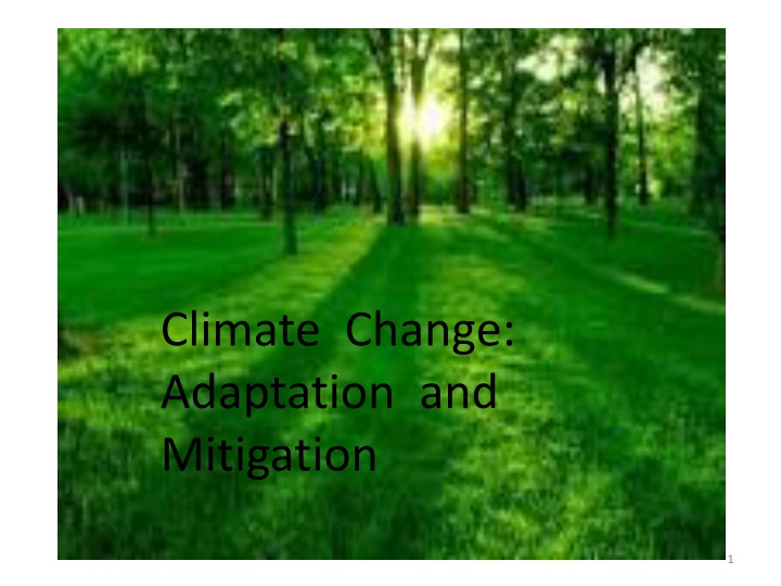 climate change adaptation and mitigation