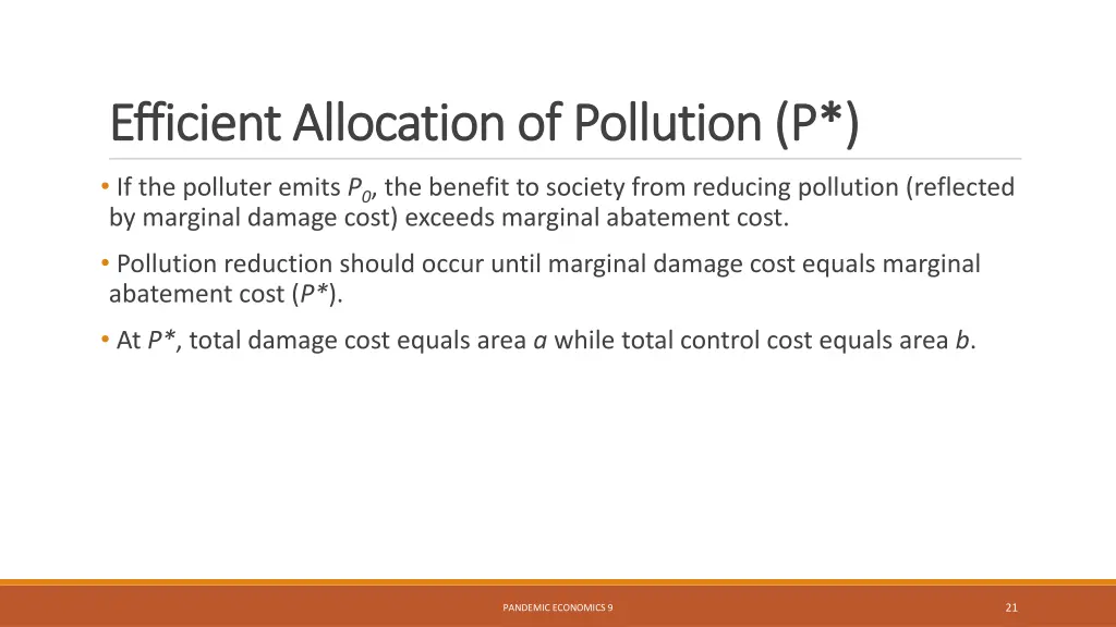 efficient allocation of pollution p efficient