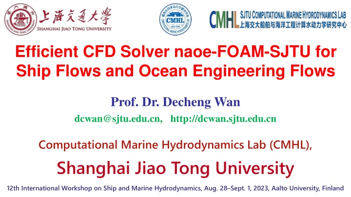 efficient cfd solver naoe foam sjtu for ship
