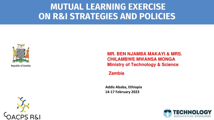 mutual learning exercise on r i strategies