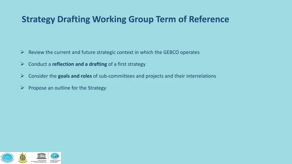 strategy drafting working group term of reference