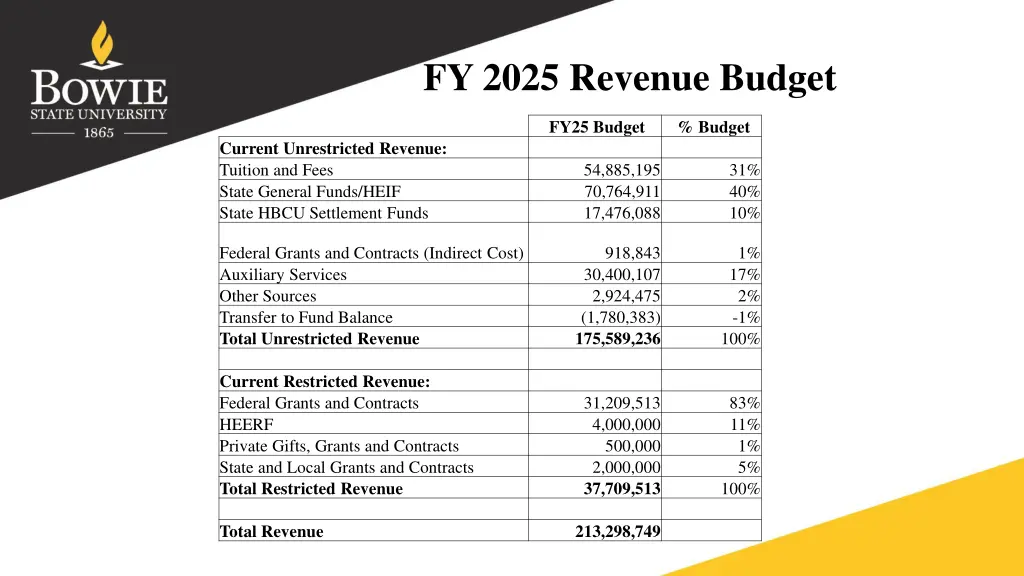 fy 2025 revenue budget
