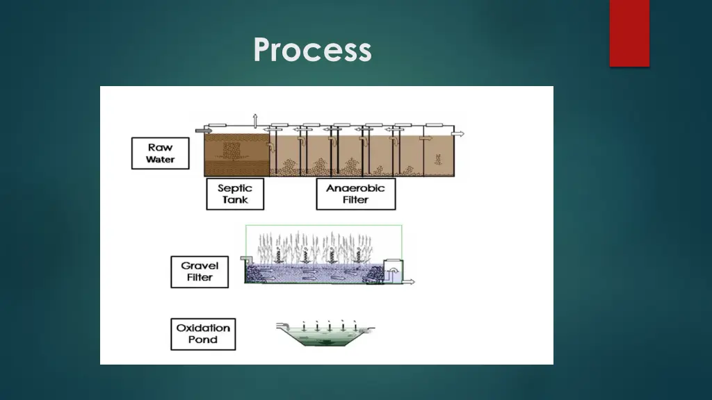 process