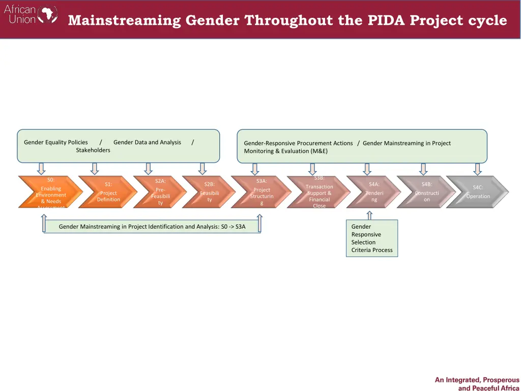 mainstreaming gender throughout the pida project