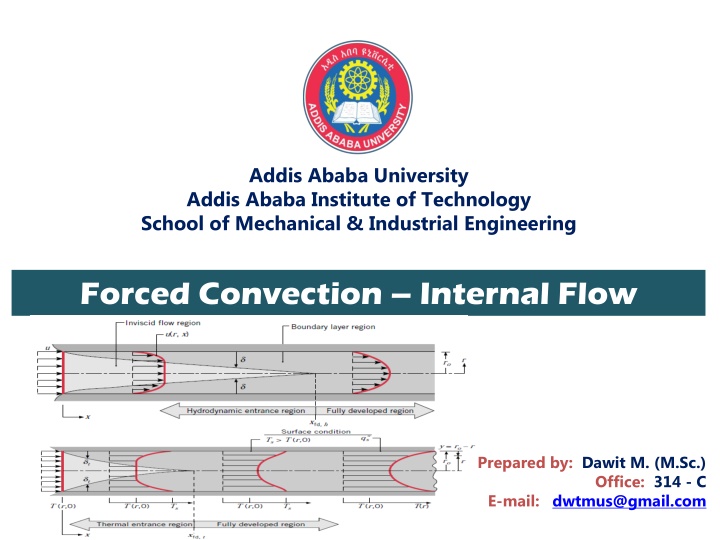 addis ababa university addis ababa institute