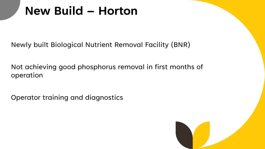 new build horton