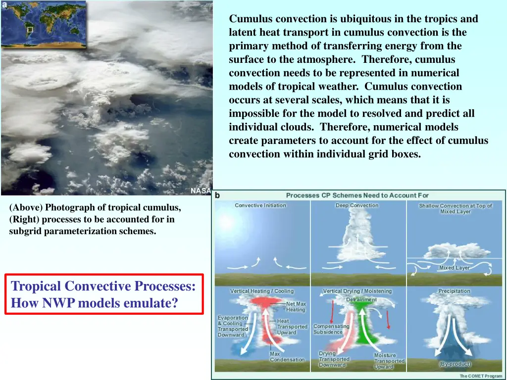 cumulus convection is ubiquitous in the tropics
