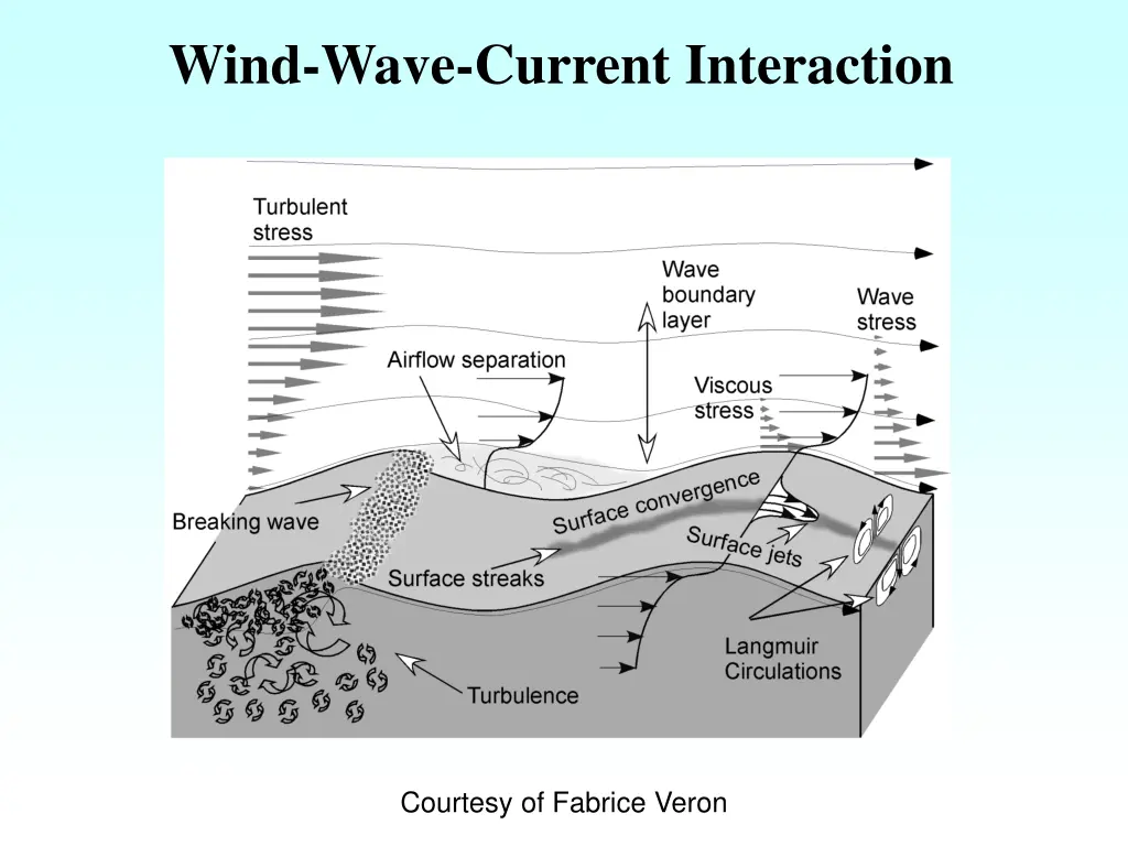 wind wave current interaction