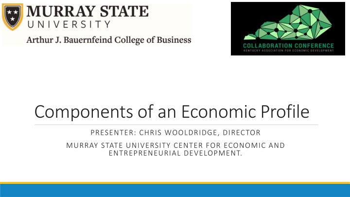 components of an economic profile
