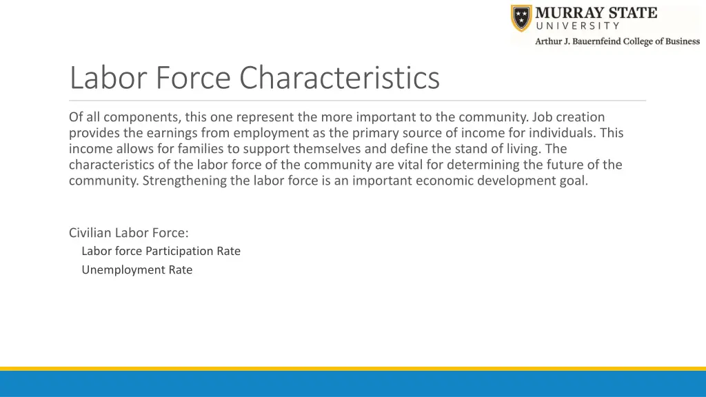 labor force characteristics