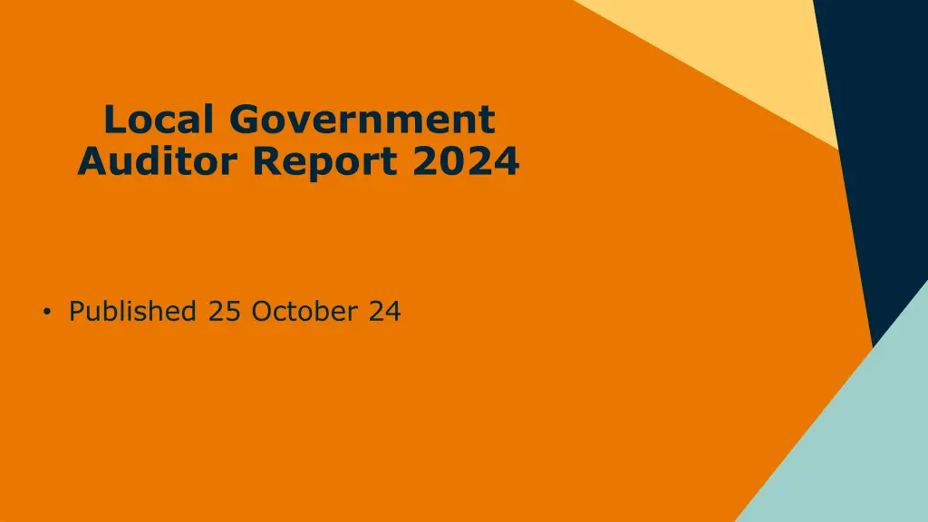 local government auditor report 2024