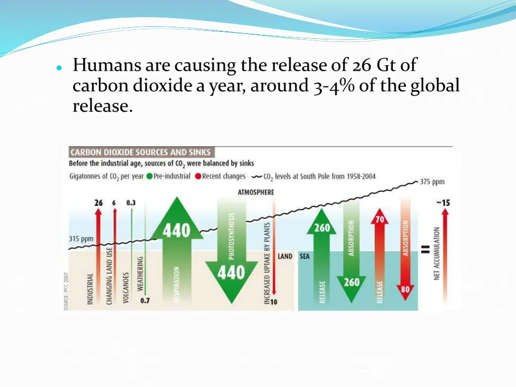 humans are causing the release of 26 gt of carbon